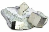 Four Shiny Natural Pyrite Cubes in Rock - Navajun, Spain #361775-1